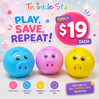Piggy Bank Fts29035