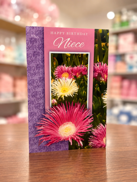 Greeting Card Birthday Niece ace345