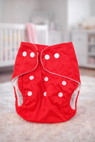 Washable Diaper w/snaps fts40543