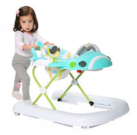 Walker Plane Design FTS40052