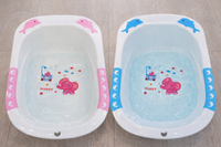 Dolphin Bathtub fts29944