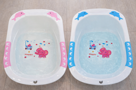 Dolphin Bathtub fts29944