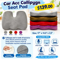 Car Acc Callipygn Seat Pad FTS28305