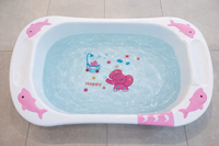 Dolphin Bathtub fts29944