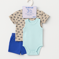 Boys Outfit 3pc fts40453