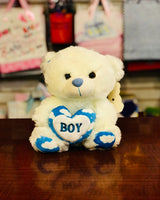 Plush Teddy Boy/Girl 9.5" FTS23653