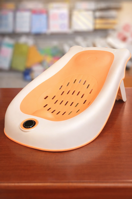 Bath Chair w/Temp Gauge fts40399