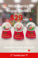 Christmas Mini Globe Santa fts15692