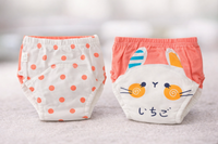 Training Pants 6-20m fts40407