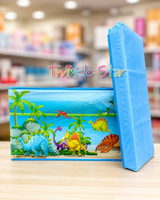 Disney Storage Box fts29962