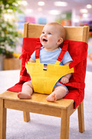 Chair Harness fts40130
