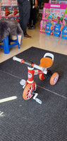 Toy Trike 3 Wheeler FTOY2022043