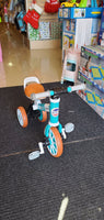 Toy Trike 3 Wheeler FTOY2022043