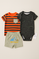Boys Outfit 3pc fts40453