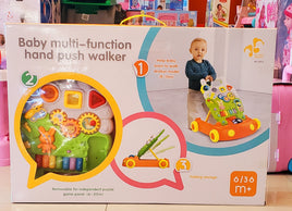 Push Walker Multi-Function FTS32366