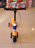 Toy Scooter Sit & Stand
