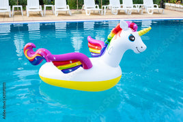 Unicorn Pool FTS17564