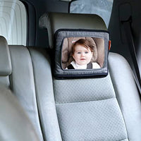 Backseat Mirror w/IP Holder