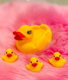 Squeaky Duck 4pc