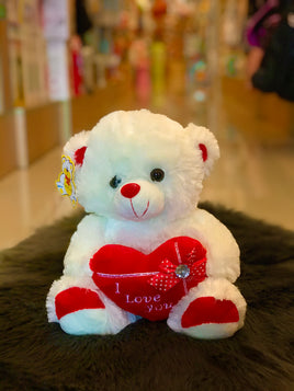 Teddy 11"FTS23660