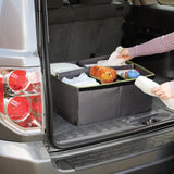 Car Sanitation Station