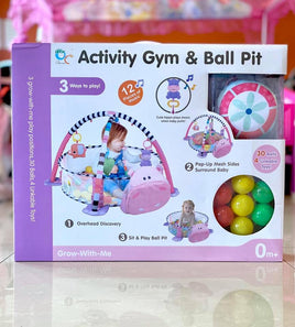 Gym & Ball Mat Pit-Hippo FTS32313